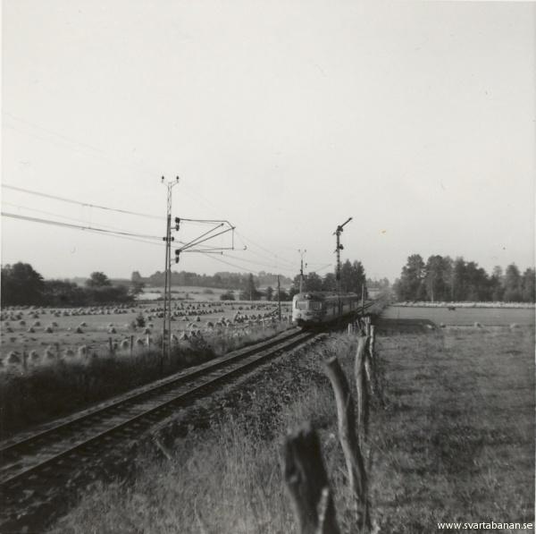 Expresståg 82 »Värmlänningen« passerar den södra semaforen i Latorpsbruk den 12 augusti 1961. - klicka för att stänga rutan