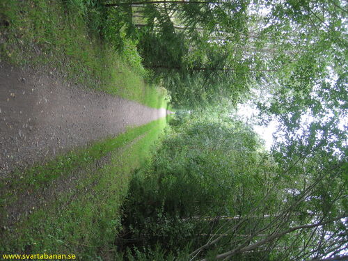 Banvallen mellan Fjugesta och Gropen i riktning mot Gropen i september 2007. - klicka för att förstora