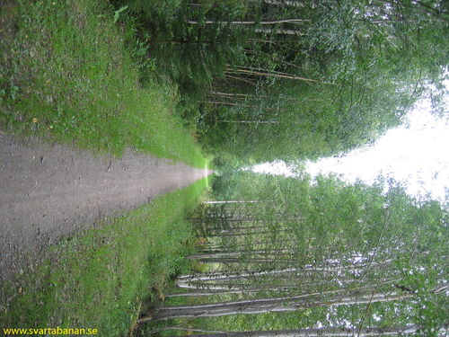 Banvallen mellan Fjugesta och Gropen i riktning mot Fjugesta i september 2007. - klicka för att förstora