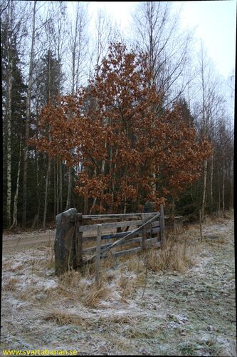 En grind mot banvallen mellan Fjugesta och Gropen den 20 december 2007. - klicka för att förstora