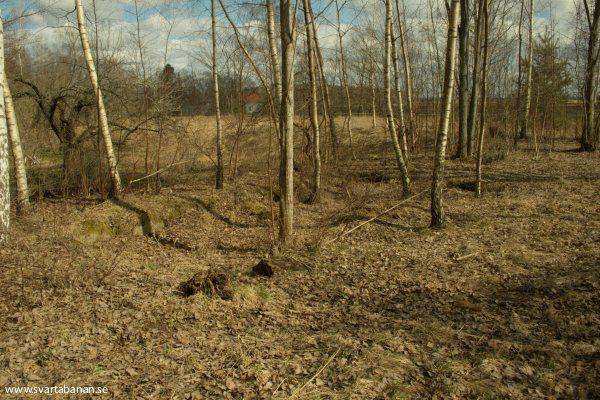 Rester av boställshuset i Latorpsbruk den 5 april 2008. - klicka för att stänga rutan