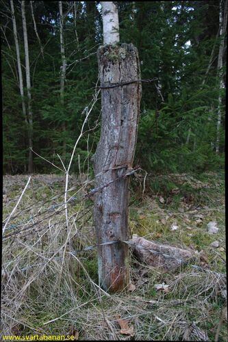 Stängselstolpe mellan Fjugesta och Gropen den 11 april 2008. - klicka för att förstora