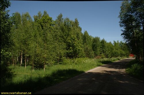 Bangården i Kvistbro den 30 maj 2008. - klicka för att förstora