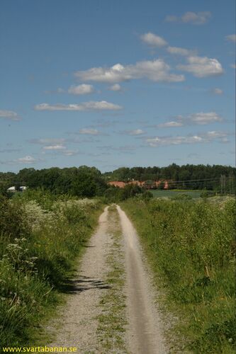 Banvallen från Östertysslinge mot Latorpsbruk den 3 juni 2008. - klicka för att förstora