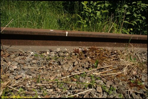 Räl vid Skråmsta den 3 juni 2008. - klicka för att förstora