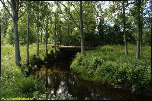 Bron över Lillån mellan Kvistbro och Bälsåsby den 14 juni 2008. - klicka för att förstora