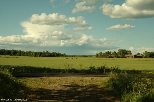 Banvallen i riktning mot Brånsta den 17 juni 2008. - klicka för att stänga rutan