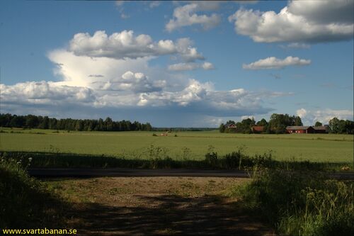 Banvallen i riktning mot Brånsta den 17 juni 2008. - klicka för att förstora Banvallen i riktning mot Brånsta den 17 juni 2008. - klicka för att förstora