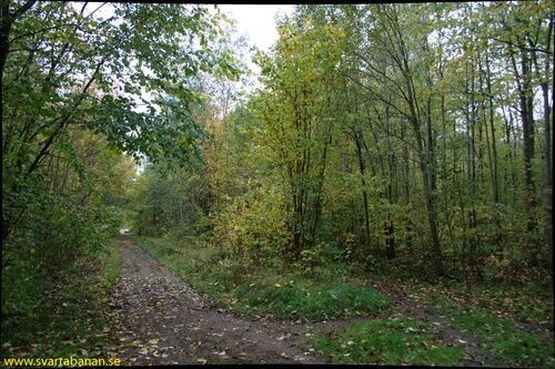 Lannabruk hållplats den 4 oktober 2008. - klicka för att förstora Lannabruk hållplats den 4 oktober 2008. - klicka för att förstora