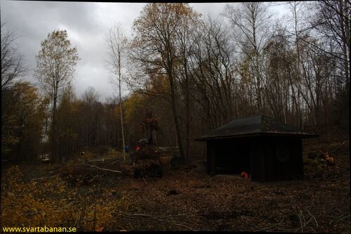 Lannabruk hållplats den 25 oktober 2008. - klicka för att förstora Lannabruk hållplats den 25 oktober 2008. - klicka för att förstora
