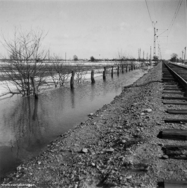 Banvallen mellan Östertysslinge och Gräveby våren 1951. - klicka för att stänga rutan