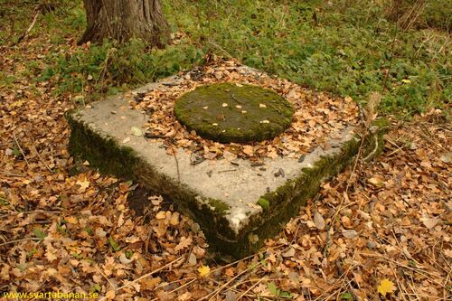 Brunnen vid Latorpsbruk banvaktstuga den 23 oktober 2010. - klicka för att förstora