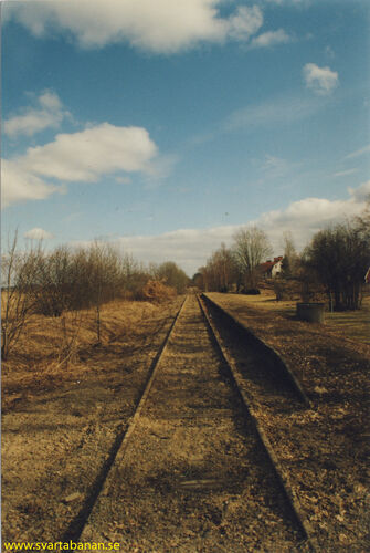 Lindbacka plattform 1999. - klicka för att förstora