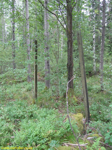 Stolparna som höll upp namnskylten vid Ängslättens hållplats den 12 augusti 2004. - klicka för att förstora