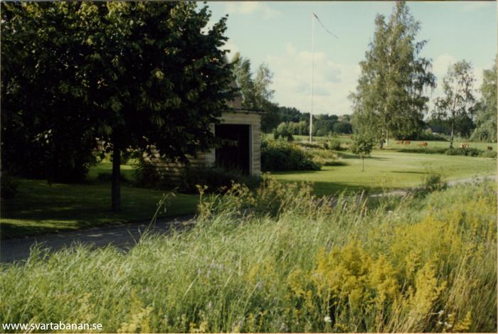 Den nyare hållplatskuren vid Holmstorp den 22 juli 1985. - klicka för att stänga rutan